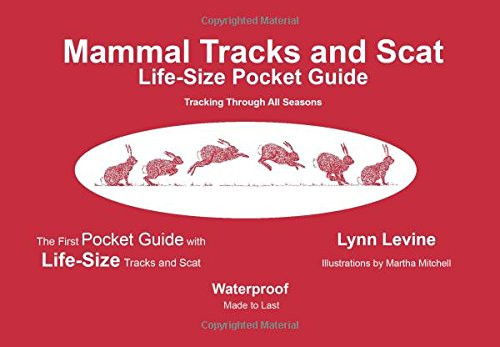 UKOrg アニマルズ Animal Tracks 33SX1708 Mono UKOrg アニマルズ Animal Tracks 33SX1708 Mono modern animals